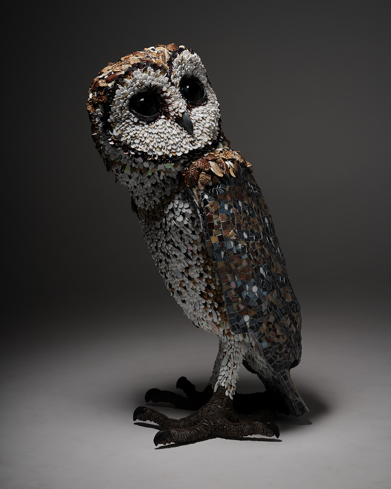 1D3873C3-906A-41AA-AD04-B1CDD92AE134_1_105_c