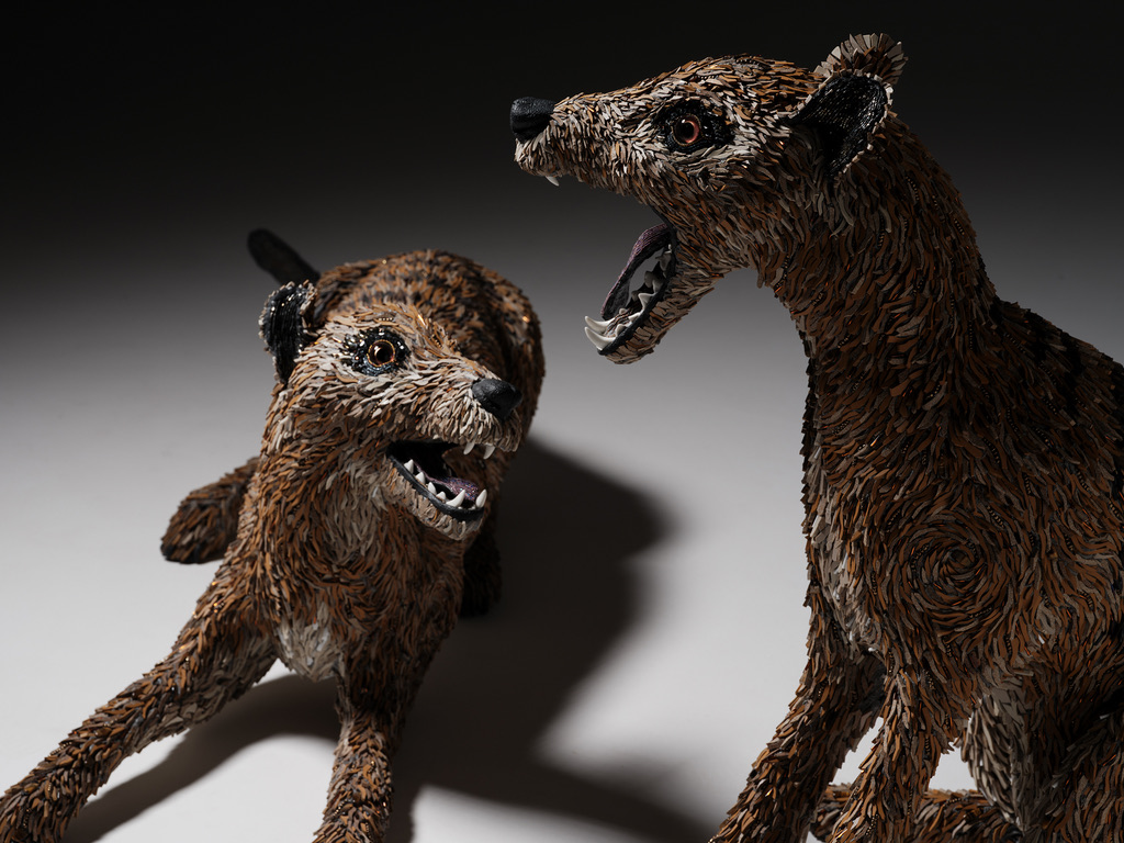 5C6F956B-629F-4F6A-87A0-0632A6641299_1_105_c