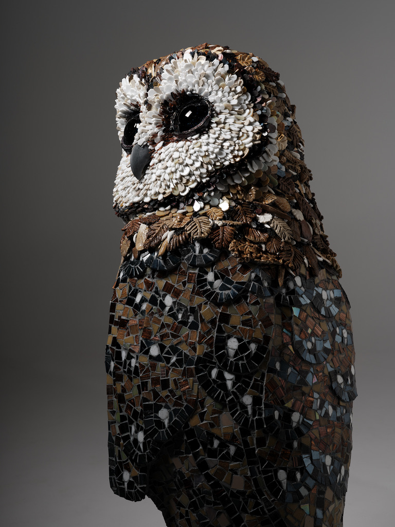 7EE568AA-6C7A-42E3-A004-B546436F4628_1_105_c