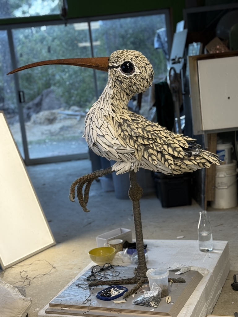 8770E05A-3778-428D-A475-0E5840515B90_1_105_c