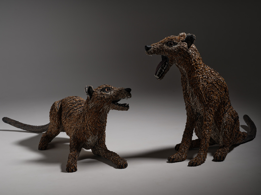 BB84DB41-F667-4DD0-AEB7-B60A6D3297A7_1_105_c