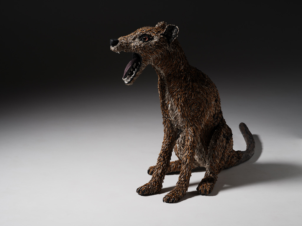 D62812BB-F708-4A64-A1FE-AAFEE896F25C_1_105_c